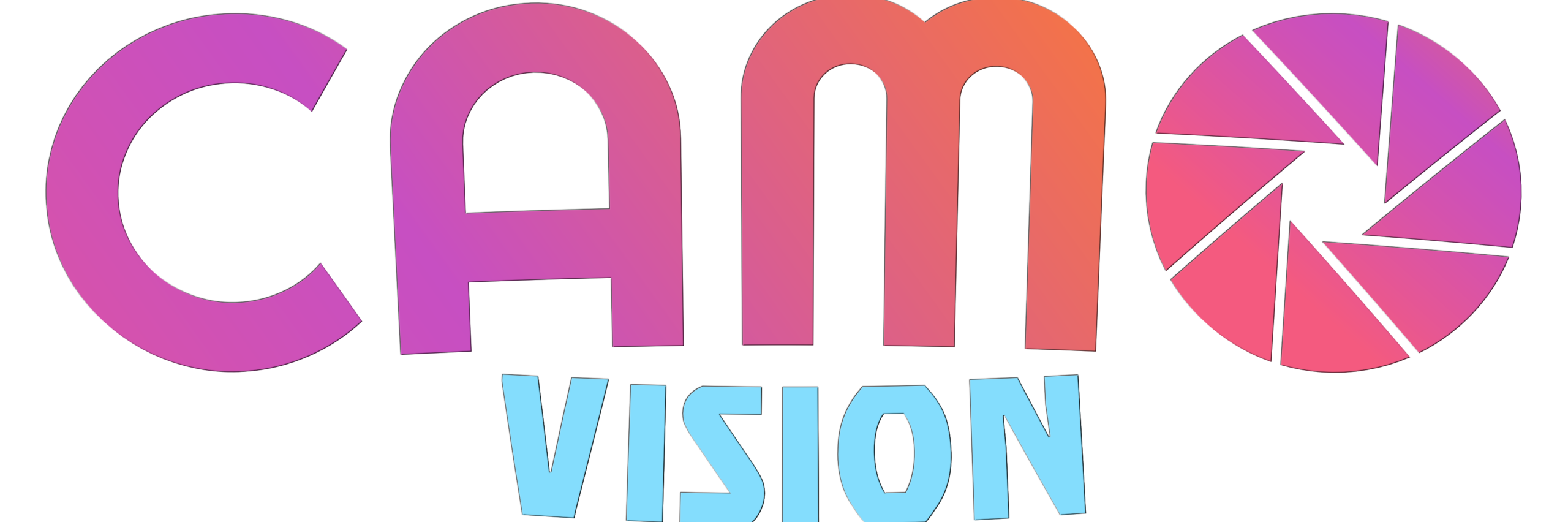 CAMO Vision